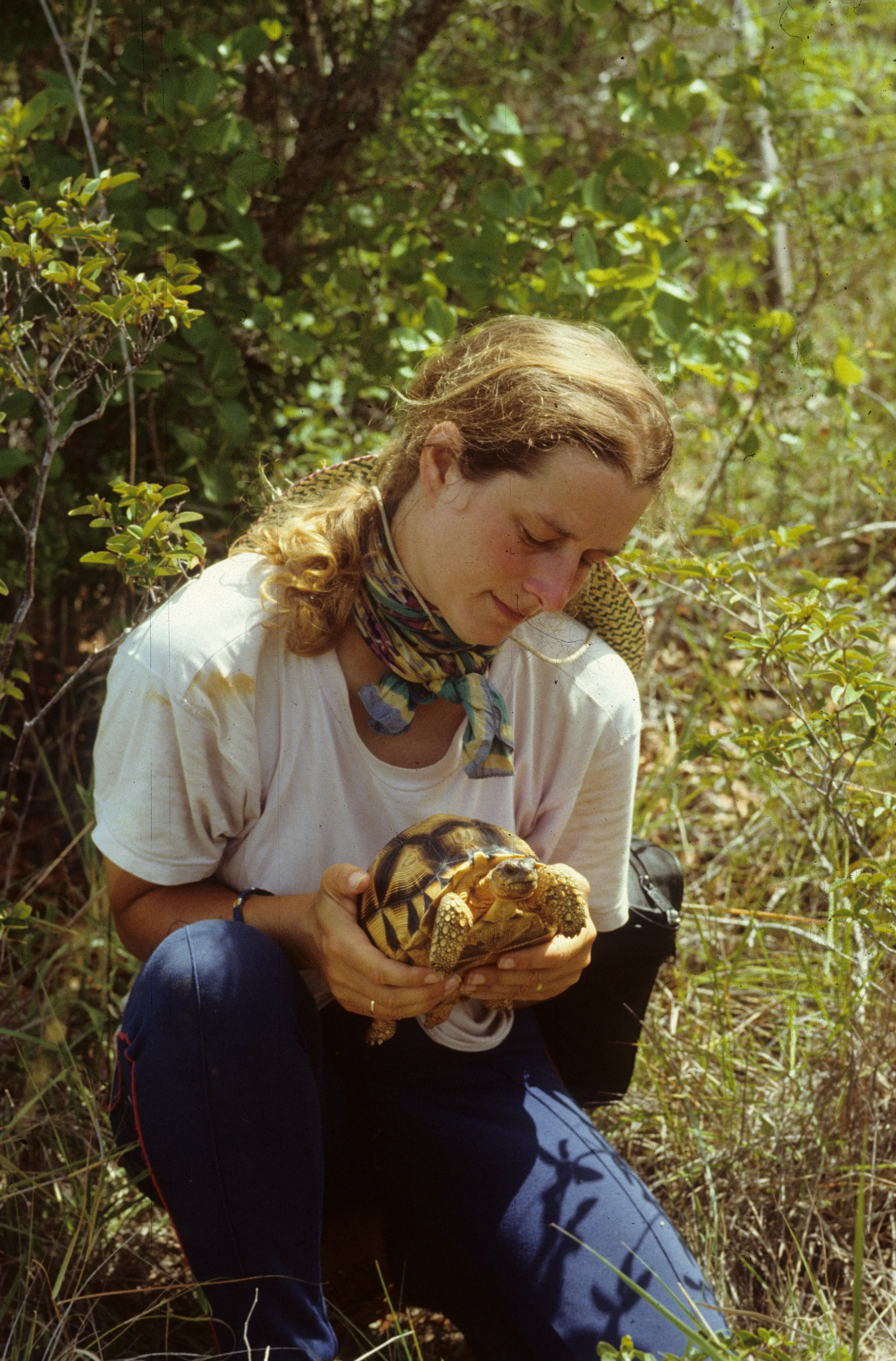 Une écologue accroupie dans la végétation tient délicatement une tortue à soc entre ses mains.