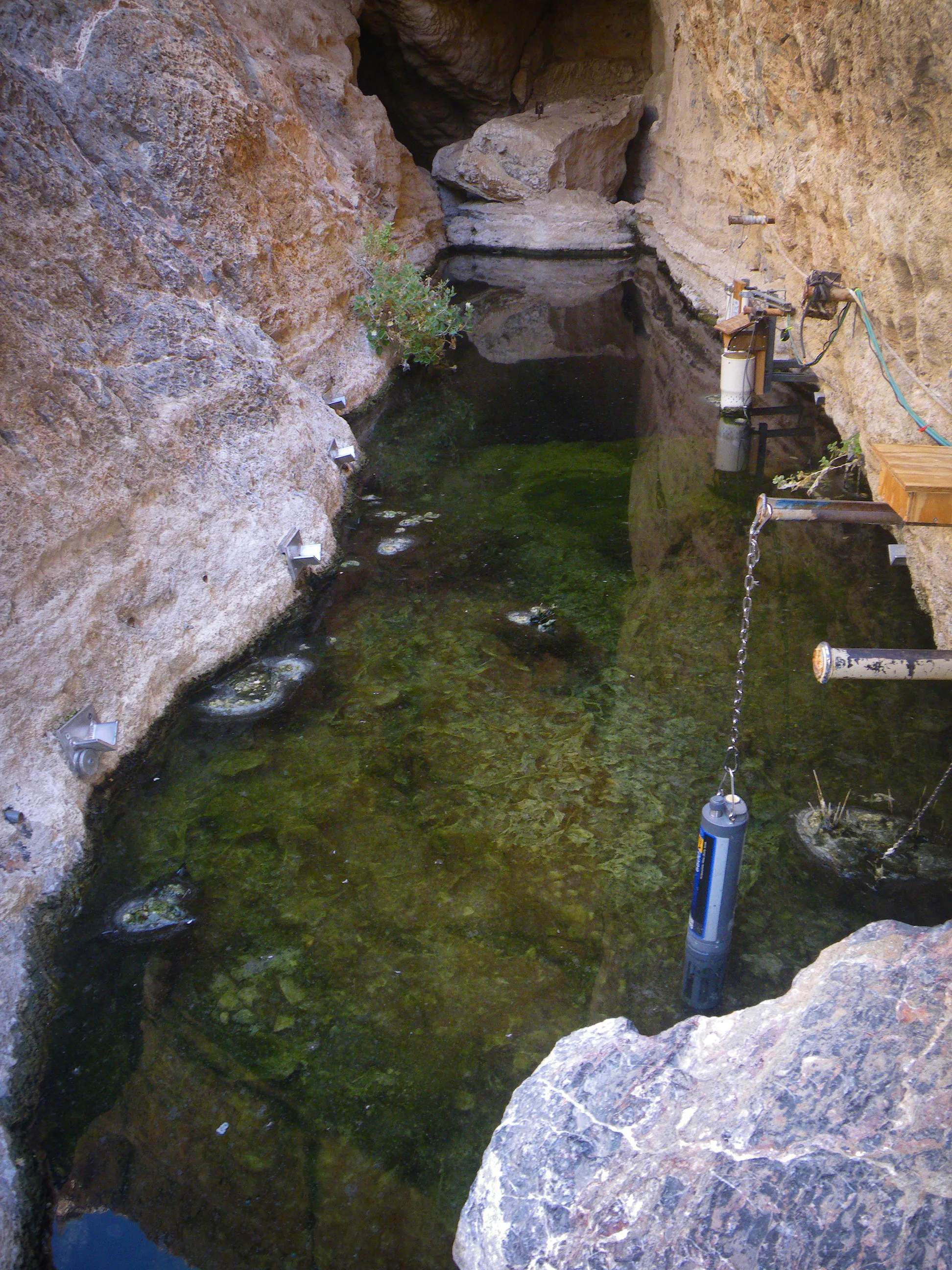Le Devils Hole, une grotte calcaire inondée au cœur du désert du Nevada, en 2014. — USFWS, domaine public Vue plongeante sur une étroite fissure rocheuse au fond de laquelle s’étend une eau sombre et verte.
