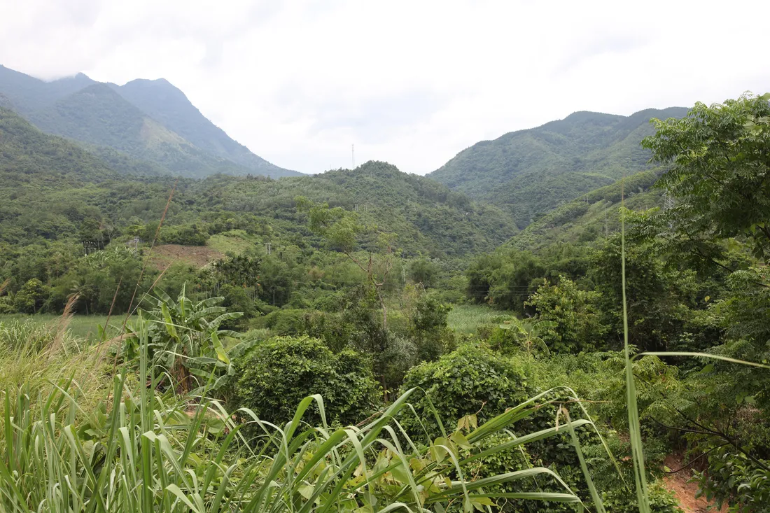 Montagnes couvertes de forêt tropicale sous un ciel nuageux, au-dessus d'une vallée verdoyante.